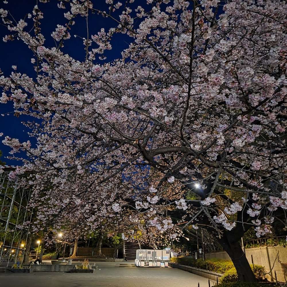 上野公園