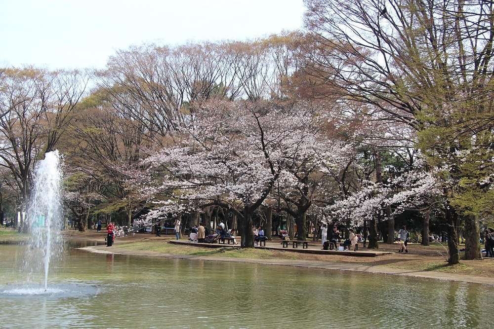 代代木公園